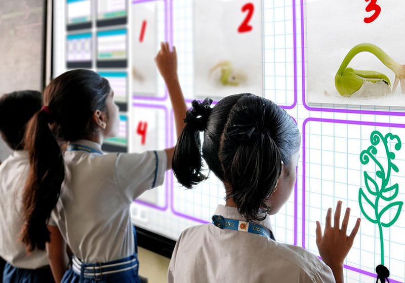 "Young students interacting with a SMART Board, arranging images of plant growth stages during a classroom activity.